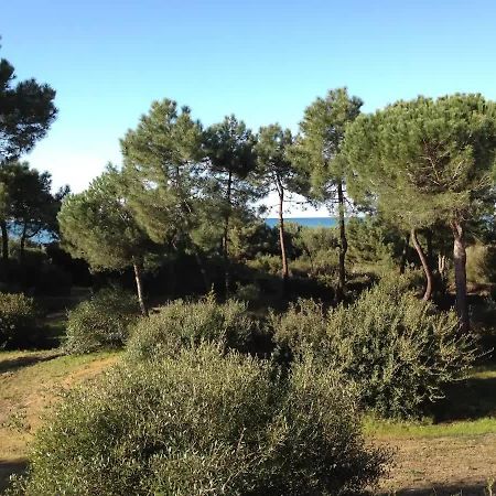 Tenuta Le Marze Castiglione della Pescaia Eksteriør billede