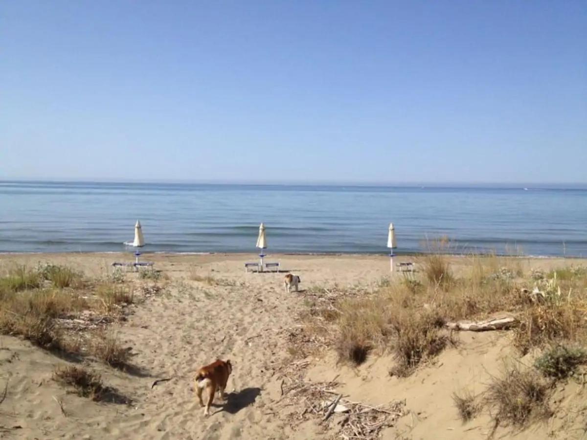 Tenuta Le Marze Castiglione della Pescaia Eksteriør billede