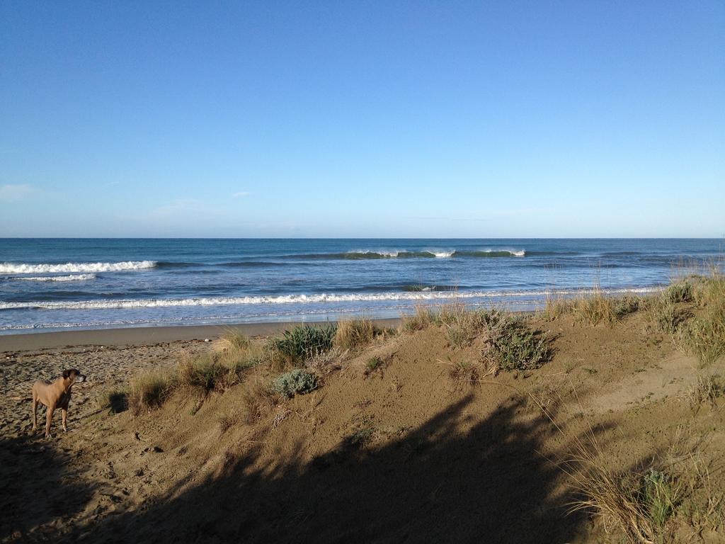 Tenuta Le Marze Castiglione della Pescaia Eksteriør billede
