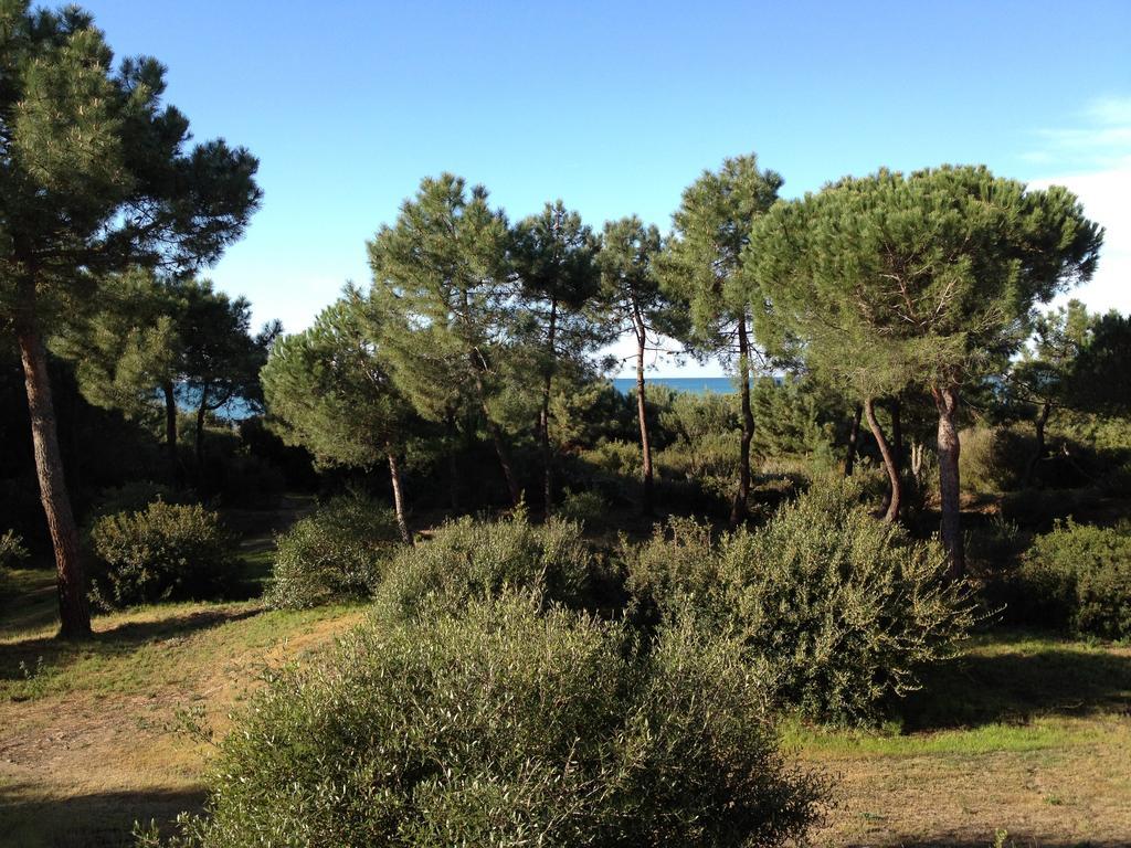 Tenuta Le Marze Castiglione della Pescaia Eksteriør billede
